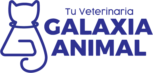 Clínica veterinaria Galaxia Animal