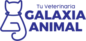 Veterinaria Galaxia Animal